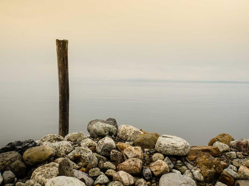 樱花放送<br>日本原版动漫与生肉资源